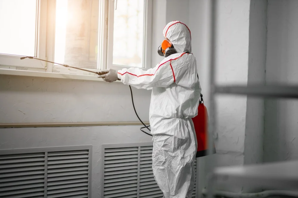 Professional mold remediation services in Red Boiling Springs, TN